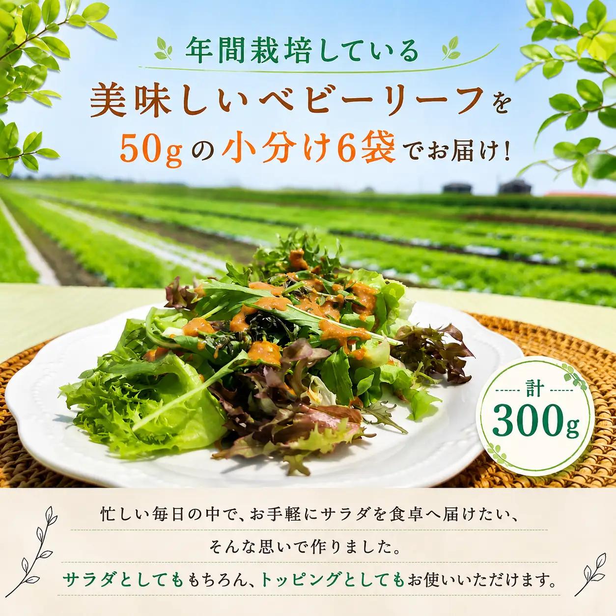 ベビーリーフサラダセット 300g (50g × 6袋) 有機JAS認定				