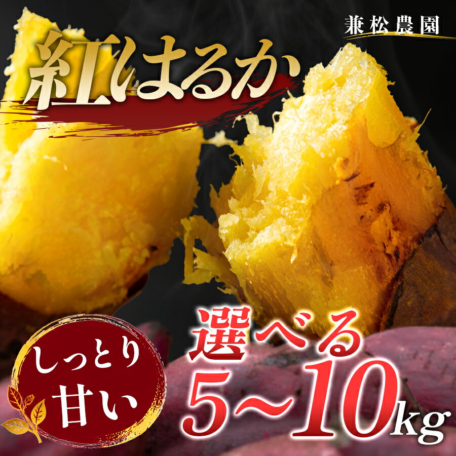 【ふるさと納税】さつまいも 熟成 紅はるか 約5kg・約7k・約10kg から選べる 国産 焼き芋 焼芋 やきいも しっとり 蜜芋 芋 おいも サツマイモ さつま芋 べにはるか スイーツ おやつ 産地直送 栽培期間中農薬不使用 高知県 大月町産