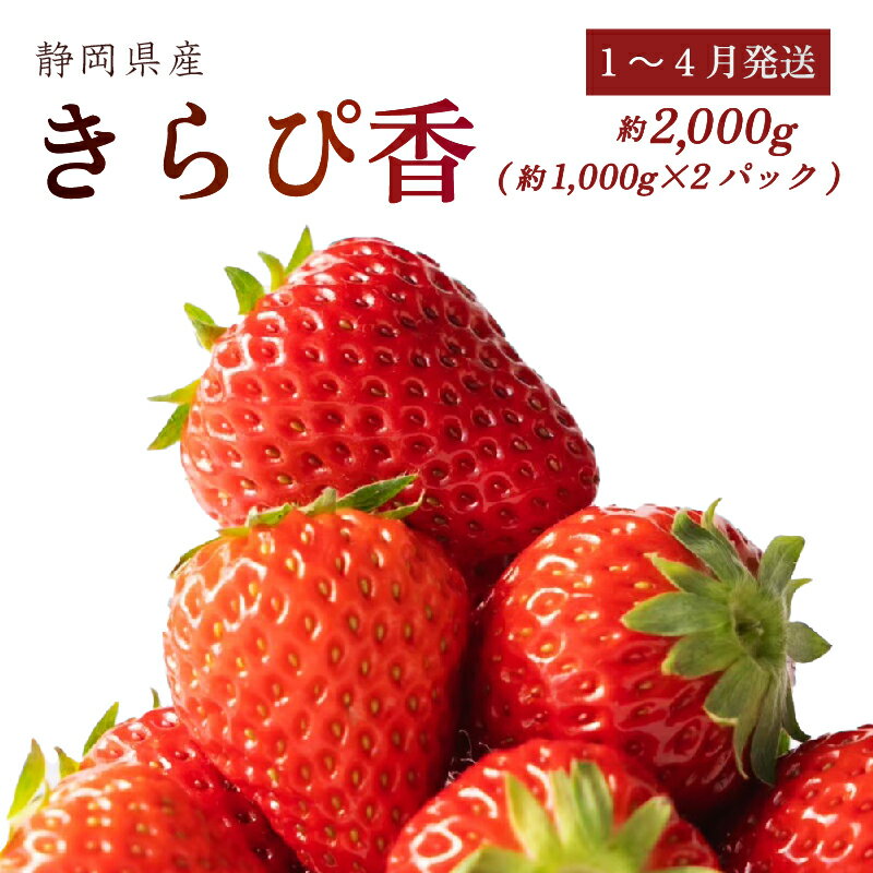 【ふるさと納税】 1月~4月発送 きらぴ香 2000g以上 いちご 苺 ブランド果物 甘い ジャム スムージー ギフト おやつ ビタミン 美容 栄養 特産品 直送 新鮮 イチゴ ストロベリー フルーツ デザート スイーツ 産地直送 旬 高級 贈り物 プレゼント 牧之原市 静岡県