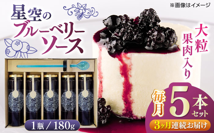 【全3回定期便】星空の ブルーベリーソース 5本セット 180ｇ×5【清和の恵み工房】 [YAA008]