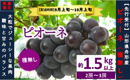 ピオーネ約1.5kg以上（2～3房） 数量限定　2026年先行予約
