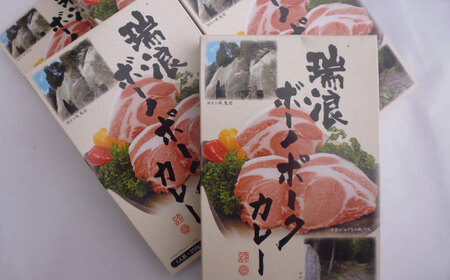 瑞浪ボーノポークカレー 250g×6個 きなぁた瑞浪  [AZCI001] ポークカレー 豚肉