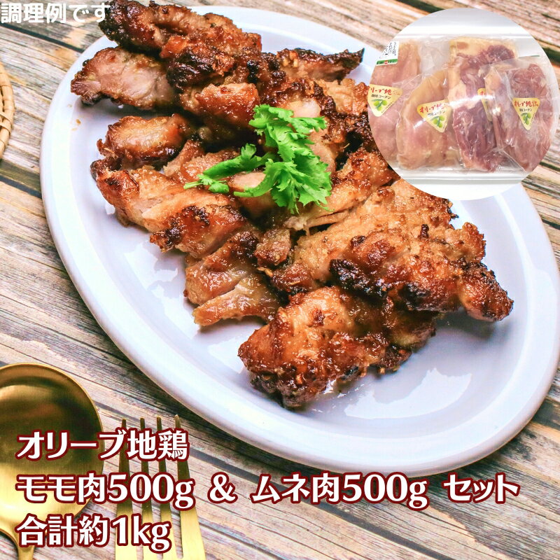 【ふるさと納税】オリーブ地鶏 モモ肉 ムネ肉 各500g 合計約1kg セット 鶏肉 とり肉 鳥肉 お肉 国産 地鶏 鶏もも肉 鶏むね肉 もも肉 むね肉 オリーブ オリーブ飼料 真空パック 唐揚げ 焼き鳥 照り焼き 鍋 おかず ギフト お取り寄せ 原食肉店 香川県 観音寺市