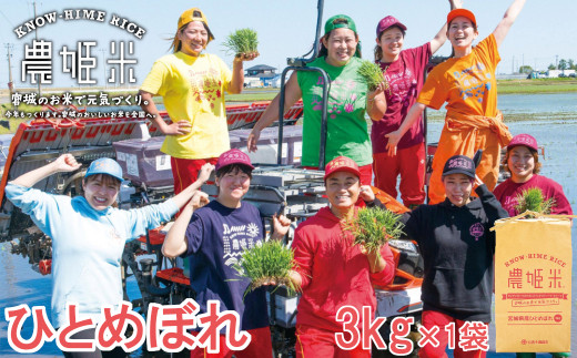【令和6年産】川崎町産 農姫米（ひとめぼれ）白米3kg　【04324-0273】