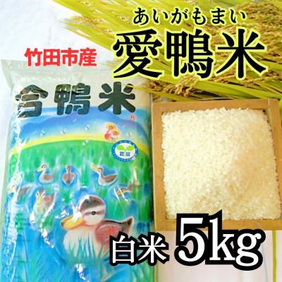 ふるさと納税 竹田市 竹田市産 愛鴨米 白米 5kg