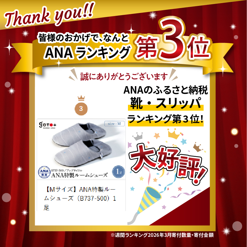 【Mサイズ】ANA特製ルームシューズ（B737-500）1足 Mサイズ