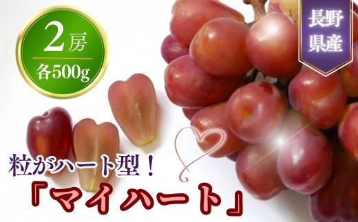 【2026年先行予約】粒がハート型！「マイハート」約1kg~1.2kg｜ぶどう 葡萄 ブドウ 種無し 皮ごと 千曲市 長野県 信州