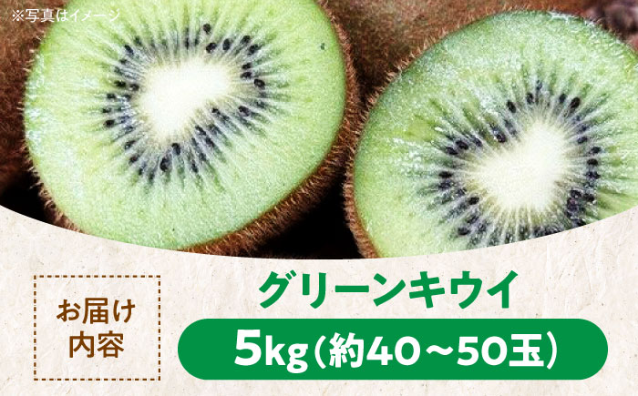 【先行予約】【11月中旬より順次配送】 生産量日本一! グリーンキウイ 5kg （約40から50玉）　キウイフルーツ キウイ フルーツ ヘイワード 果物 くだもの 愛媛県大洲市/玉川農園 [AGBC0