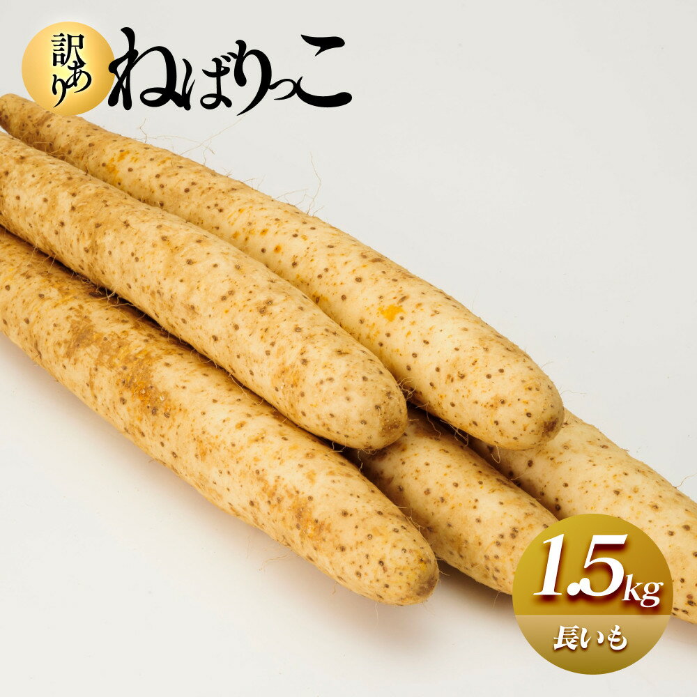 【ふるさと納税】942.≪先行受注≫【訳あり】ねばりっこ1.5kg 長芋 ながいも 鳥取県産 ※期間限定11月上旬から4月中旬頃に順次発送予定 | 野菜 やさい 根菜 とろろ 長芋 芋 いも 鳥取県 北栄町 おすすめ 人気 送料無料