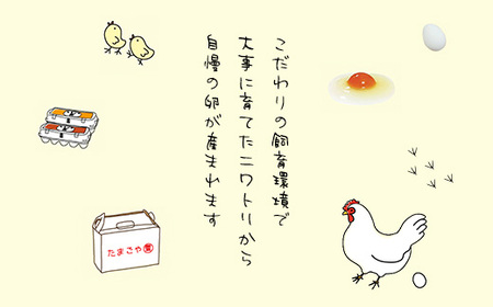 6ヶ月定期便 たまごやとよまる 煌黄30個 SMAS008