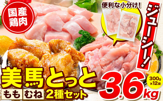 鶏肉 小分け むね肉 もも肉 セット  約3.6kg 美馬とっと《30日以内に出荷予定(土日祝除く)》大容量 家族用 ファミリーパック 肉 鶏 とりにく 若鶏 からあげ 送料 st-p