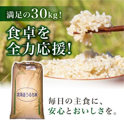 ふるさと納税 旭川市 【令和7年産米】数量限定イエスクリーン米ななつぼし　玄米30kg×1袋_00217 |  | 03