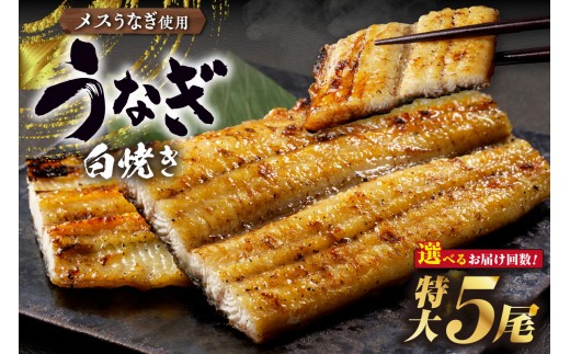 
                  三河高浜産三代目養鰻家の白焼きうなぎ　特大5尾【選べるお届け回数】
                