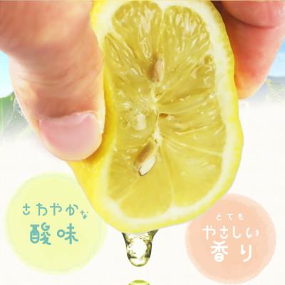 ふるさと納税 かつらぎ町 秀品　紀州有田産レモン　約2.5kg |  | 01