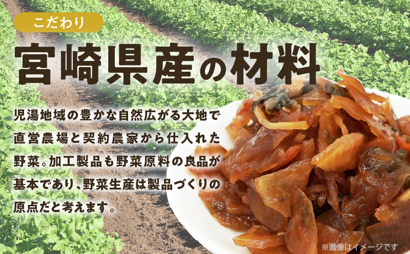 ＼ポスト投函／福の神漬け 計1袋 (120g) 漬物 おかず 野菜 加工品 国産_T025-024