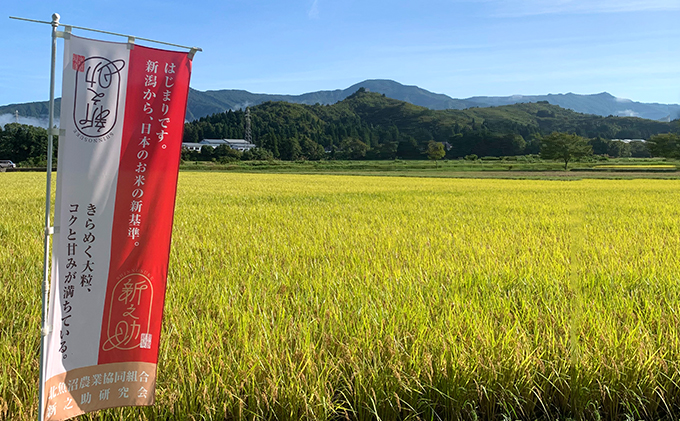 令和7年産 魚沼産 コシヒカリ・魚沼新之助 食べ比べセット お米 新潟県産