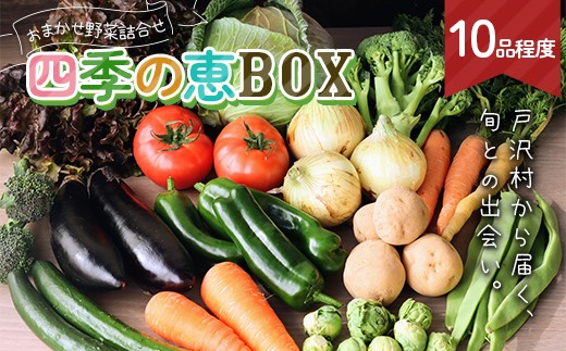 山形県 戸沢村産 野菜詰合せ 農家のおまかせ 四季の恵BOX 10品程度 旬の野菜を1回お届け 国産 野菜 やさい 詰め合わせ セット 季節 旬 新鮮 産地直送 自宅 家庭 F7W-0500