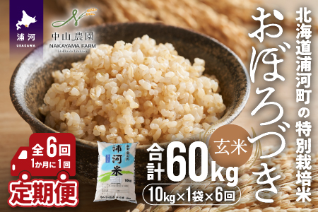 北海道浦河町の特別栽培米「おぼろづき」玄米(10kg×1袋)定期便(全6回)[37-1173]