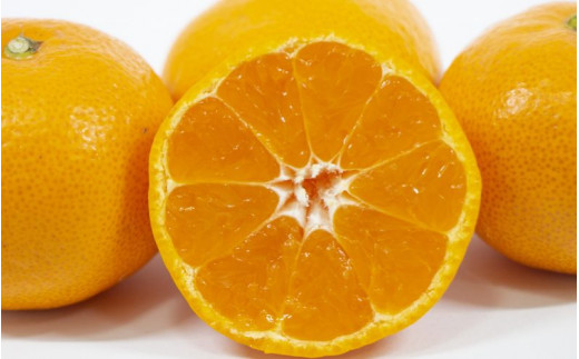 紀州 有田 みかん こつぶちゃん 5kg ※2026年11月下旬～2027年1月中旬頃に順次発送予定 【sml004-s-5C】