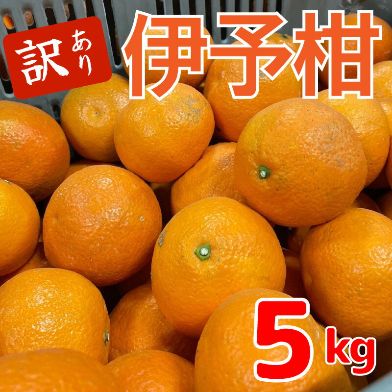 【ふるさと納税】 【先行予約】 訳あり みかん 伊予柑 5kg（訳あり）【1月中旬~発送予定】 | 1月 中旬 ~ 2月 下旬 発送 愛媛県 松山市 みかん 蜜柑 柑橘 伊予柑 5kg