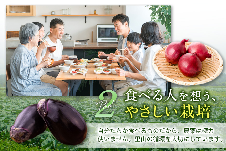 安芸高田市の小さな農家がお届けするふるさと旬野菜セット 野菜類 詰合せ やさい 