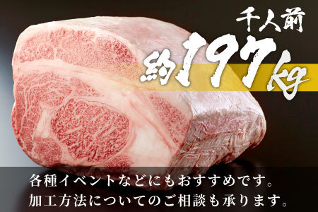 牛一頭まるごと千人前！ 飛騨牛 牛一頭 横綱セット 千人前 計197kg 分割配送 A5等級 すき焼き しゃぶしゃぶ ステーキ 焼肉 BBQ ランプ イチボ カイノミ サーロイン ヒレステーキ ロース