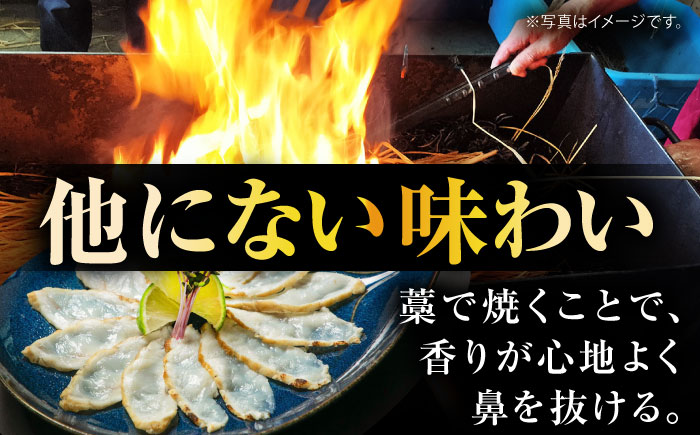 【新鮮！贅沢おつまみ】トラフグのたたき ＆ ふぐ 刺身（大皿/220g）×1枚 / ポン酢 もみじおろし セット 冷凍 ふぐ 河豚 藁焼き / 南島原市 / 株式会社 FUKUNOTANE [SFJ0
