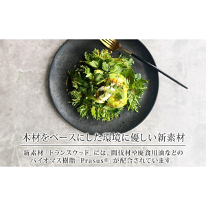 長野県 レトワコレクション 大皿 直径27cm×2枚 light gray 隈研吾デザイン トランスウッド 食器 お皿 テーブルウエア シンプル おしゃれ hide K 1896 送料無料 長野市