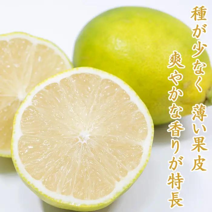 【鴨川の柑橘】まろやかな酸味とたっぷり果汁『璃の香レモン』５kg 《10月より発送開始》《数量限定》《先行予約》ちばエコ農産物 りのか リノカ 国産レモン 旬の柑橘 レモン 薄皮 草生栽培 低農薬 除