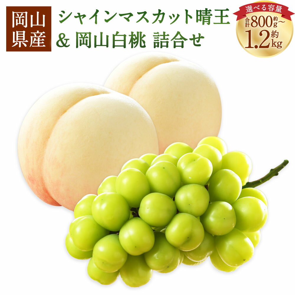【ふるさと納税】＜選べる品種・内容量＞岡山県産 岡山白桃（ロイヤル / エース）・シャインマスカット 晴王 詰合せ 計約800g～計約1.8kg 桃 もも モモ ぶどう ブドウ 葡萄 マスカット 白桃 フルーツ くだもの 果物 セット 冷蔵 国産【2026年7月上旬～8月下旬発送予定】