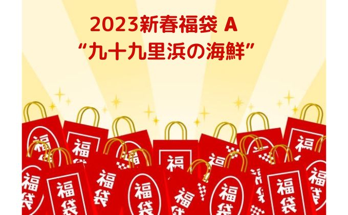 
2023新春福袋A　九十九里浜の海鮮 [№5743-0300]
