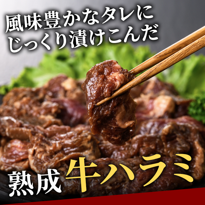 熟成牛ハラミ 2kg (250g×8パック) たれ 味付 小分け 冷凍 焼肉 焼き肉 牛 牛肉 ビーフ ハラミ BBQ 【そうざい男しゃく(株式会社池延)】【ho1469】