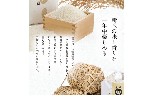 令和8年産 【定期便4ヶ月】 特Aランク米 ゆめぴりか 精米 10kg（5kg×2袋）【4月発送】雪冷気 籾貯蔵 雪中米 北海道 nr-1716