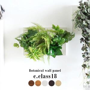 Botanical c.class 18　ホワイトウッド