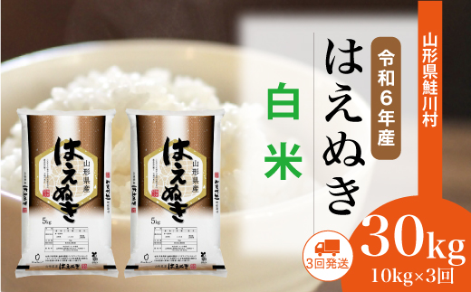 ＜令和6年産米＞ 約2週間でお届け開始　はえぬき【白米】30kg定期便 (10kg×3回)　鮭川村