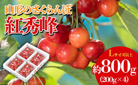山形のさくらんぼ 紅秀峰 約800g(200g×4) 【令和7年産先行予約】FS23-809 くだもの 果物 フルーツ 山形 山形県 山形市 2025年産