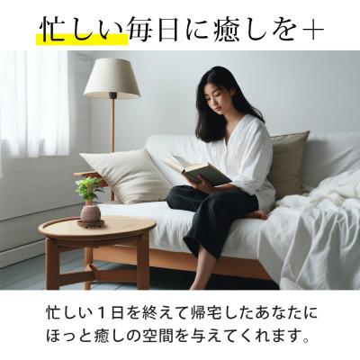 ふるさと納税 知立市 アクアプラントポット　玉M - アンスリウム　全長30〜40cm |  | 03