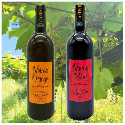 【ふるさと納税】ネイキッド・セット【配送不可地域：離島】【1550319】