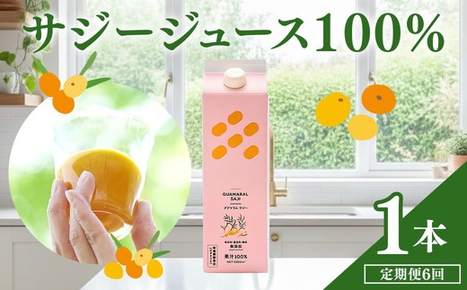 
            【定期便】 サジージュース 100% 1000ml×毎月1本 6ヶ月コース | サジー シーベリー 沙棘 グアマラル 健康ドリンク 健康 美容 栄養 果汁 鉄分補給 栄養補給 健康食品 ギフト 贈答 プレゼント ご褒美 お祝 記念品 _DX11
          