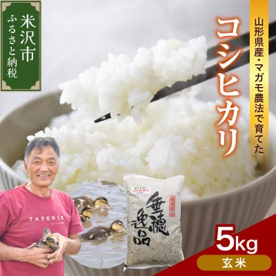 ふるさと納税 米沢市 令和8年産 玄米 コシヒカリ 5kg 有機肥料 100% 使用 栽培期間中 山形県米沢市