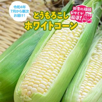 もろこしはこれだっぺセット！とうもろこし（ホワイトコーン）【令和4年7月下旬から順次お届け】田舎の頑固おやじが厳選！