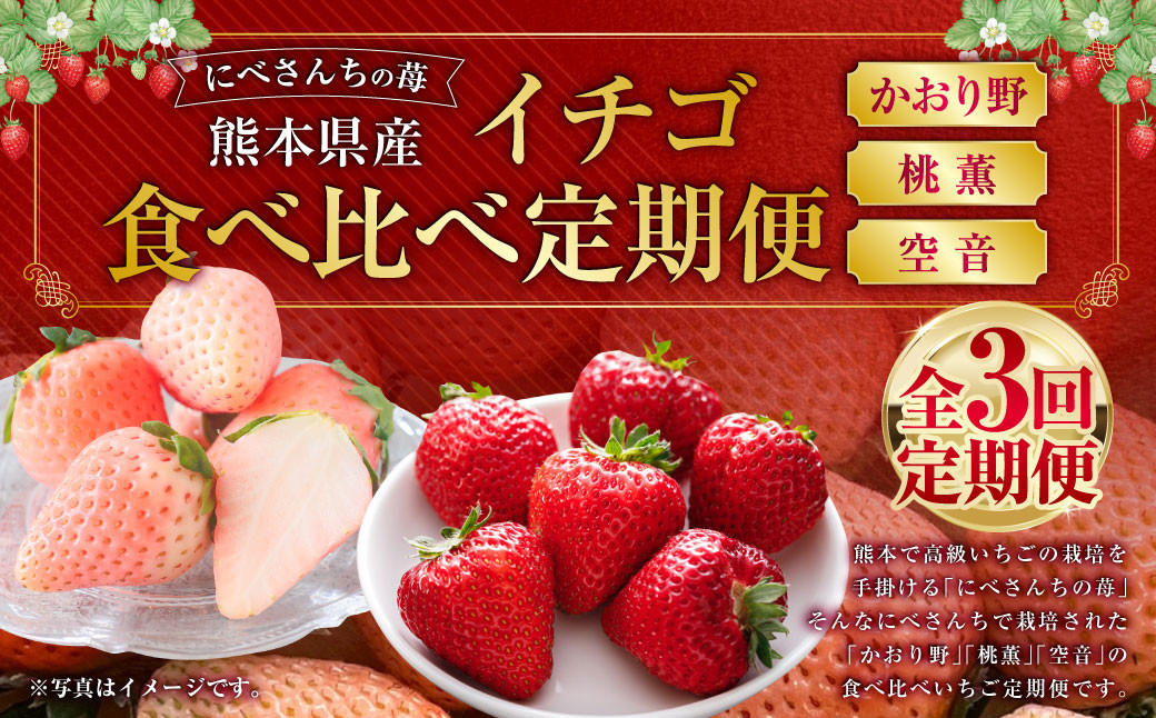 
            【3か月連続定期便】にべさんちの苺 熊本県産イチゴ食べ比べ定期便 (かおり野・桃薫・空音) 【2026年1月下旬発送開始】
          