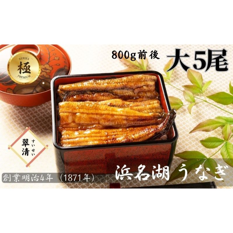 【ふるさと納税】【創業1871年】浜名湖うなぎ 蒲焼5尾(800g前後)ミネラル成分豊富な水で育てた大鰻 ウナギ うなぎ 惣菜 おかず 蒲焼き おすすめ 浜名湖 静岡県 森町