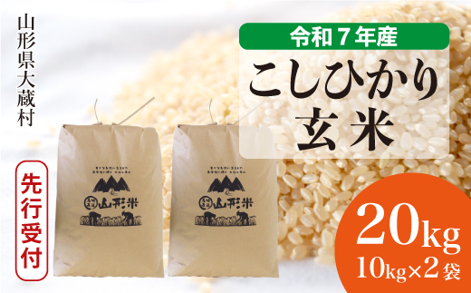 ＜令和7年産米先行受付＞ 令和8年4月上旬発送 大蔵村産 こしひかり 【玄米】 20kg （10kg×2袋） 