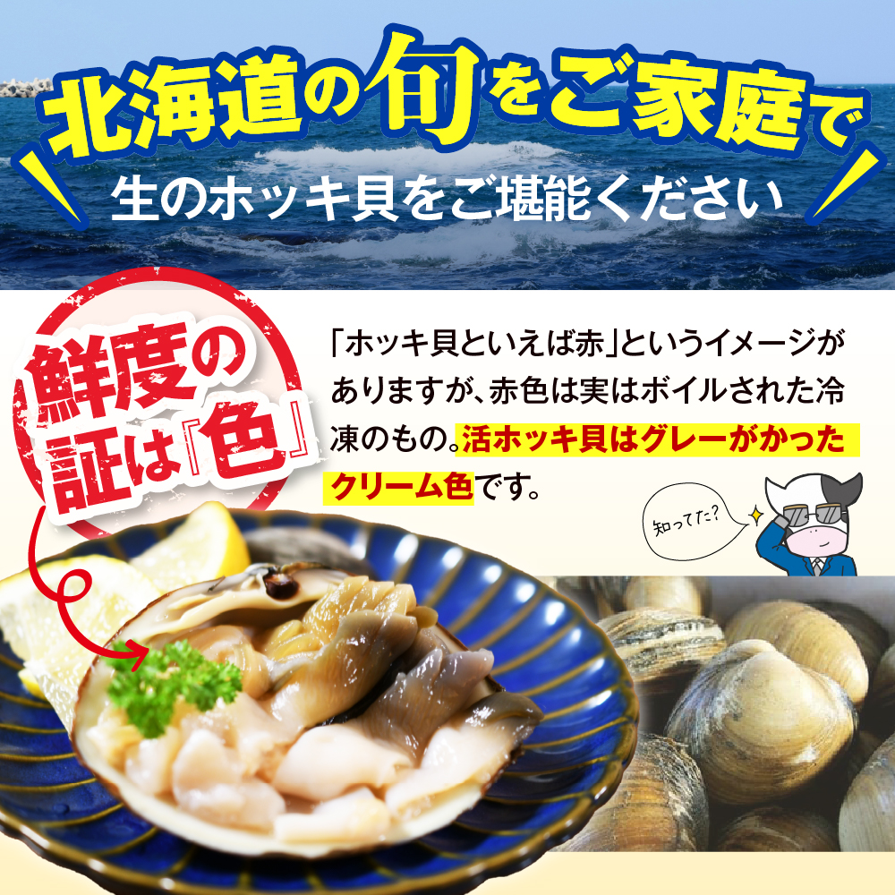 【数量限定】 獲れたて直送 ホッキ貝 約2kg tt007-003 約2kg（約9～12個）
