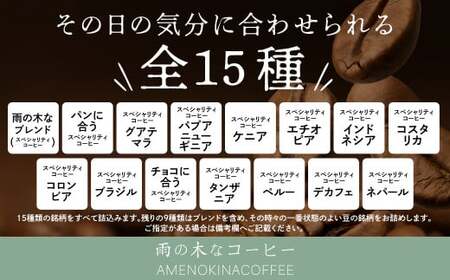 【雨の木なコーヒー】 スペシャルティコーヒー ドリップバッグ 24個セット