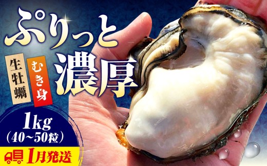 生牡蠣【2027年1月中旬発送】かきうちの生牡蠣 むき身 1kg 広島県江田島市／株式会社かきうち[XBK002]｜生牡蠣 生かき 生カキ むき身 カキ かき 牡蠣 オイスター カキフライ 魚介類 魚介 貝類 海鮮 広島県産 国産 特産品