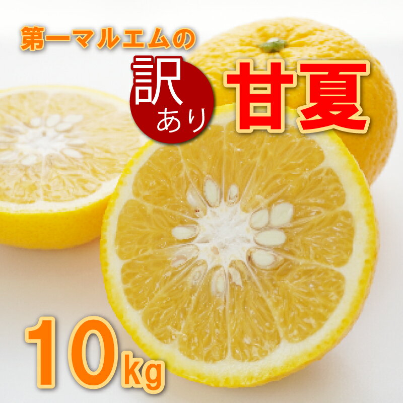 【ふるさと納税】 訳あり 甘夏 10kg 7000円 みかん mikan 蜜柑 ミカン わけあり あまなつ 産地直送 国産 農家直送 期間限定 数量限定 特産品 ゼリー ジュース アイス 冷凍 みかん 等に 人気 甘い フルーツ 果物 柑橘 おいしい ジューシー 健康 第一マルエム 愛南町 愛媛県