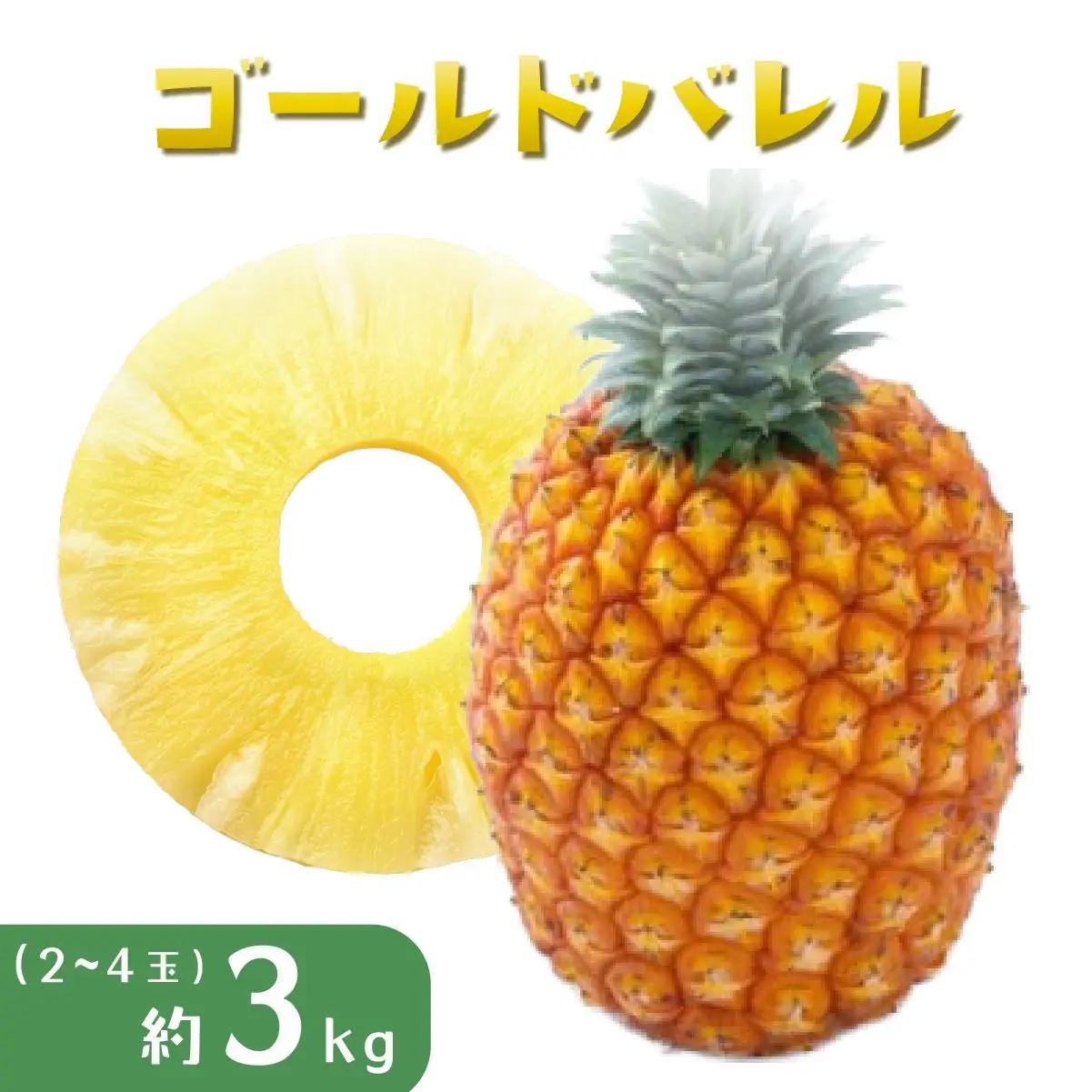 パイナップル ゴールドバレル 約3kg 2～4玉 パイン 果物 フルーツ 沖縄 西表島【TOK:iふぁーむ】配送不可：離島　ﾊﾟｲﾝ 果物 ﾌﾙｰﾂ