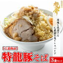 【ふるさと納税】【王道商品】特龍豚そば×3食※着日指定不可※離島への配送不可